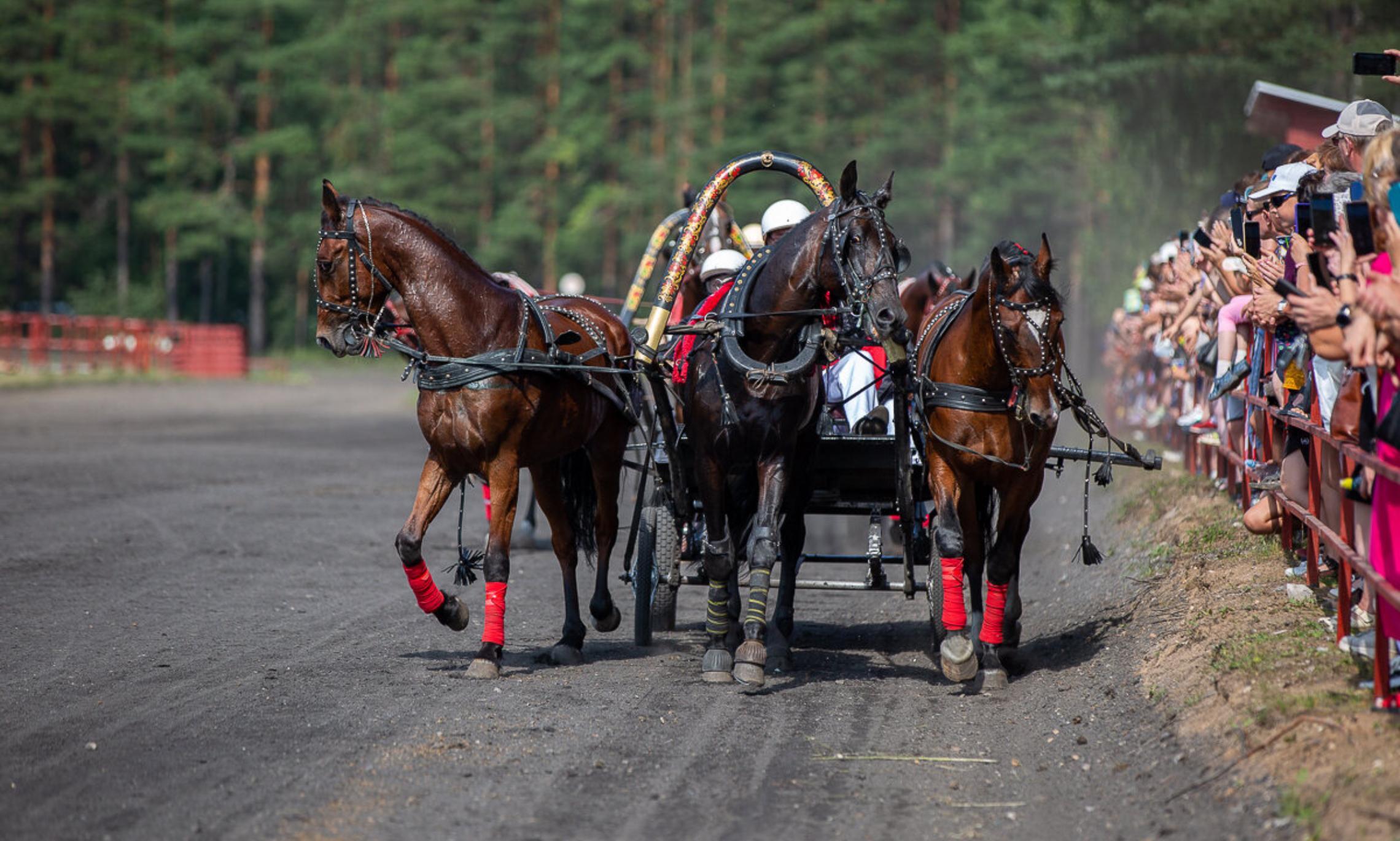 Фото Алёны Воробьёвой