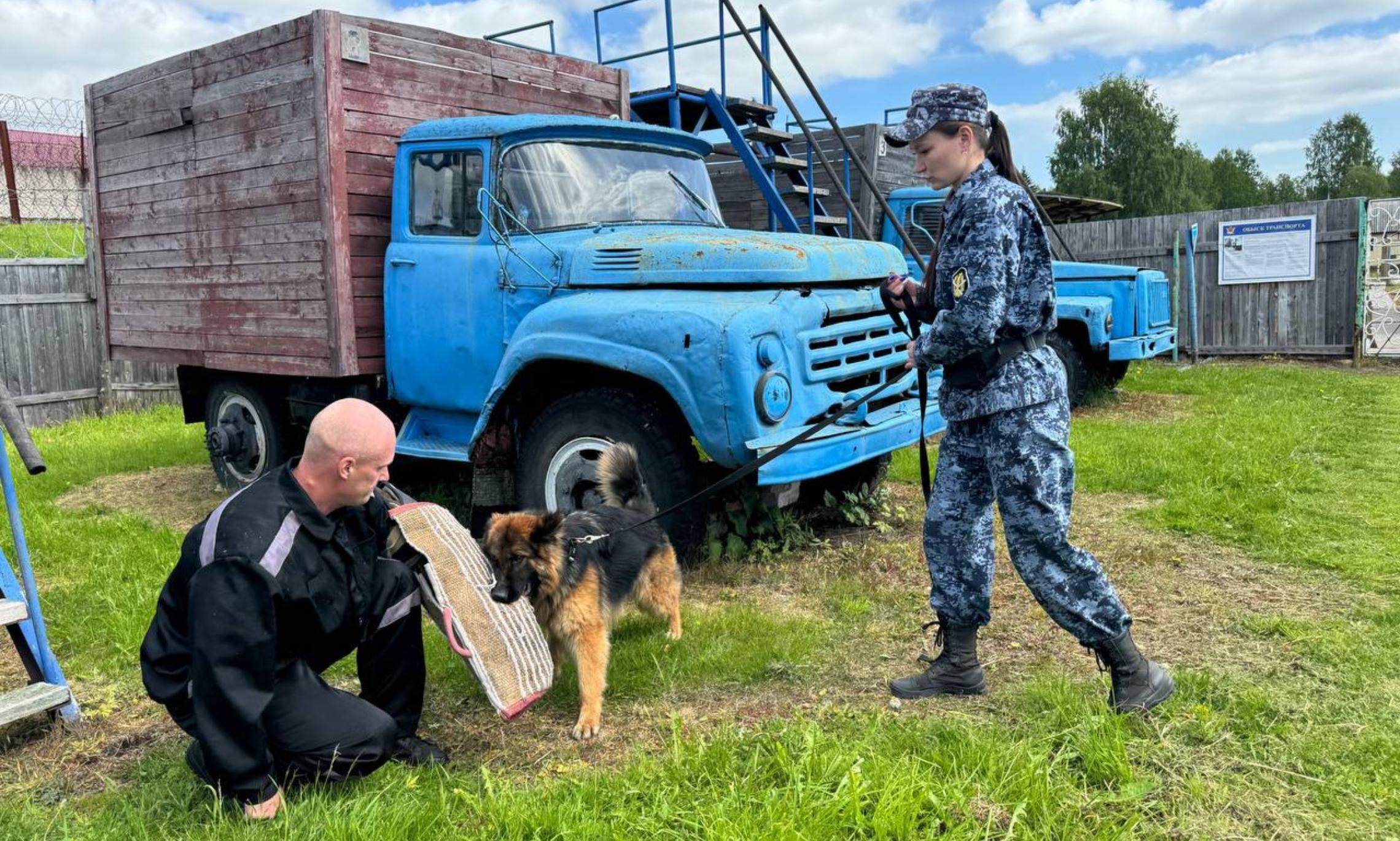 Здесь Эльза нашла и задерживает преступника