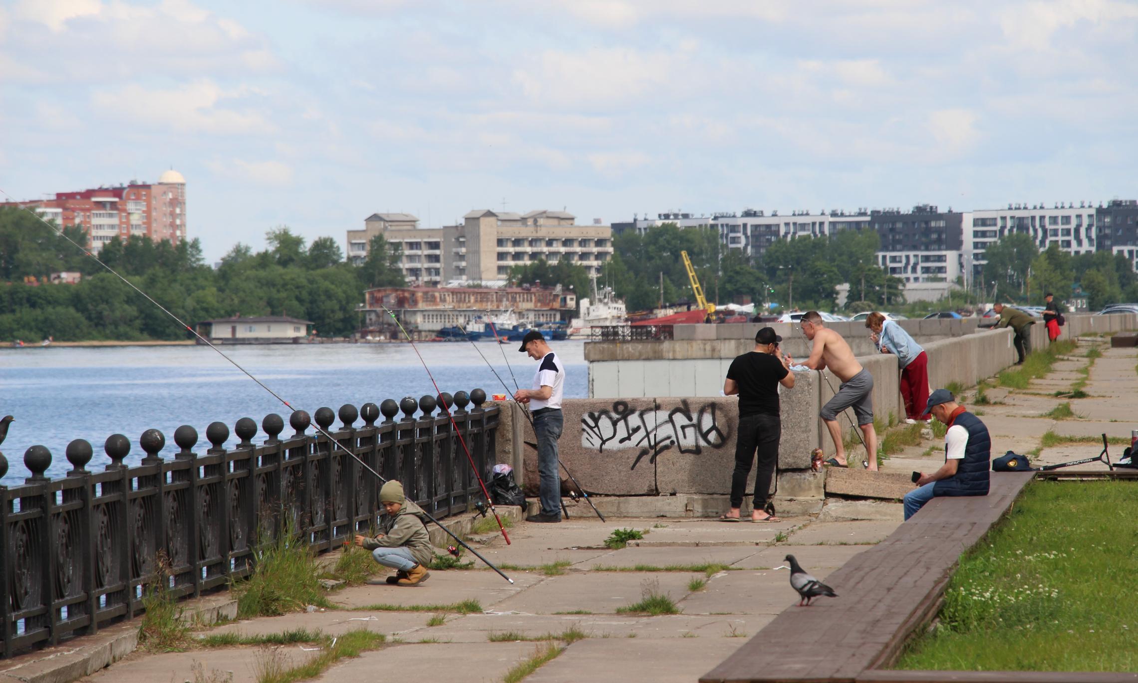 Фото Романа Филковского