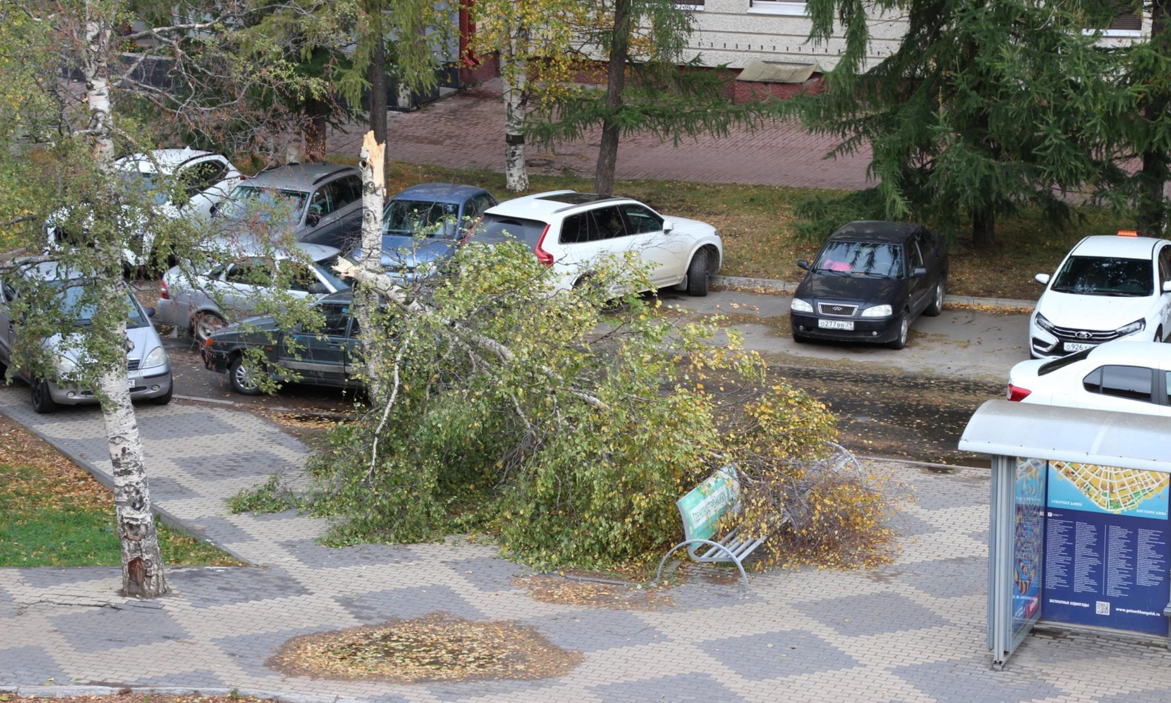 Фото ИА «Регион 29»