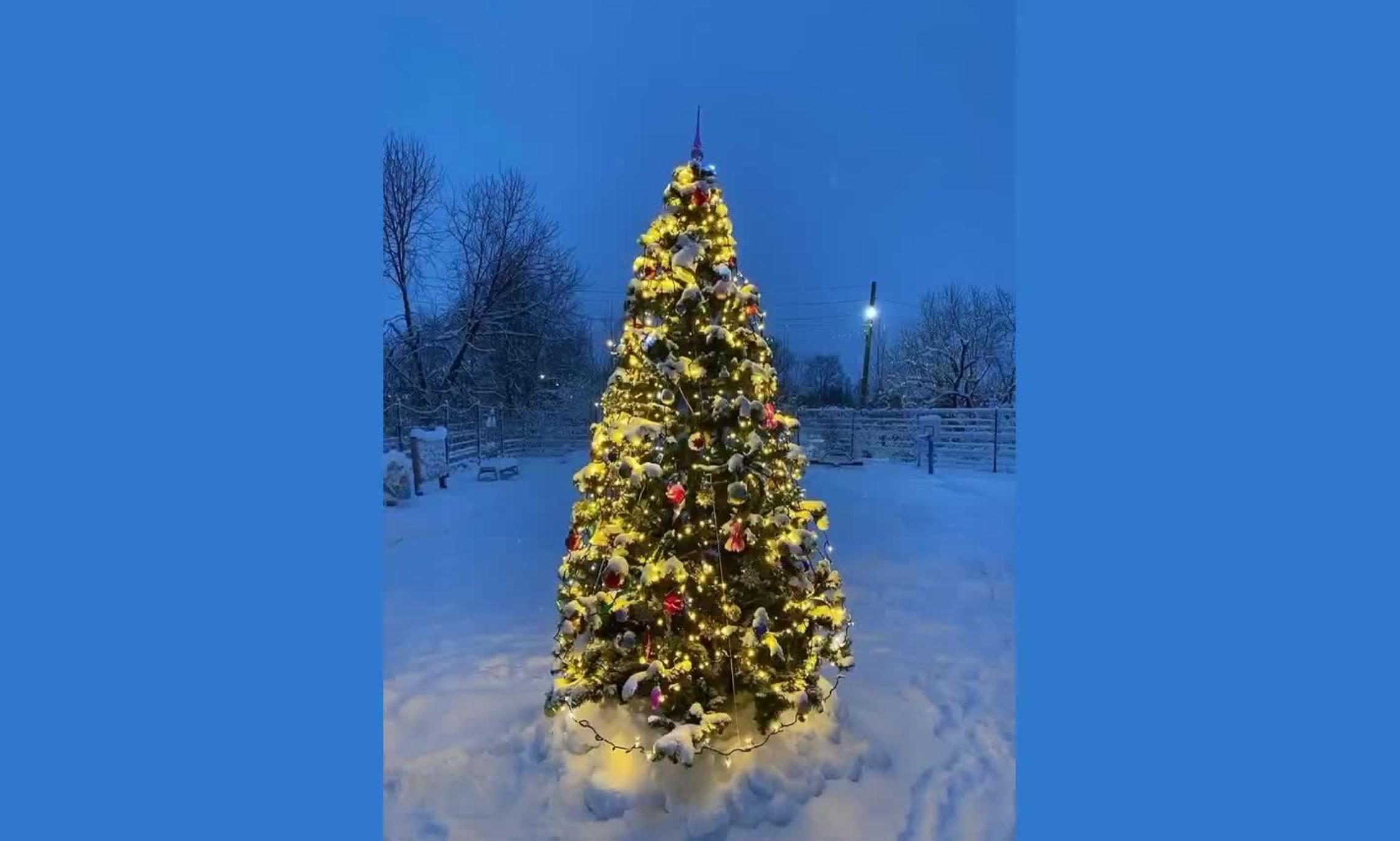 Ёлочка на Кегострове. Фото «Открытый Архангельск»