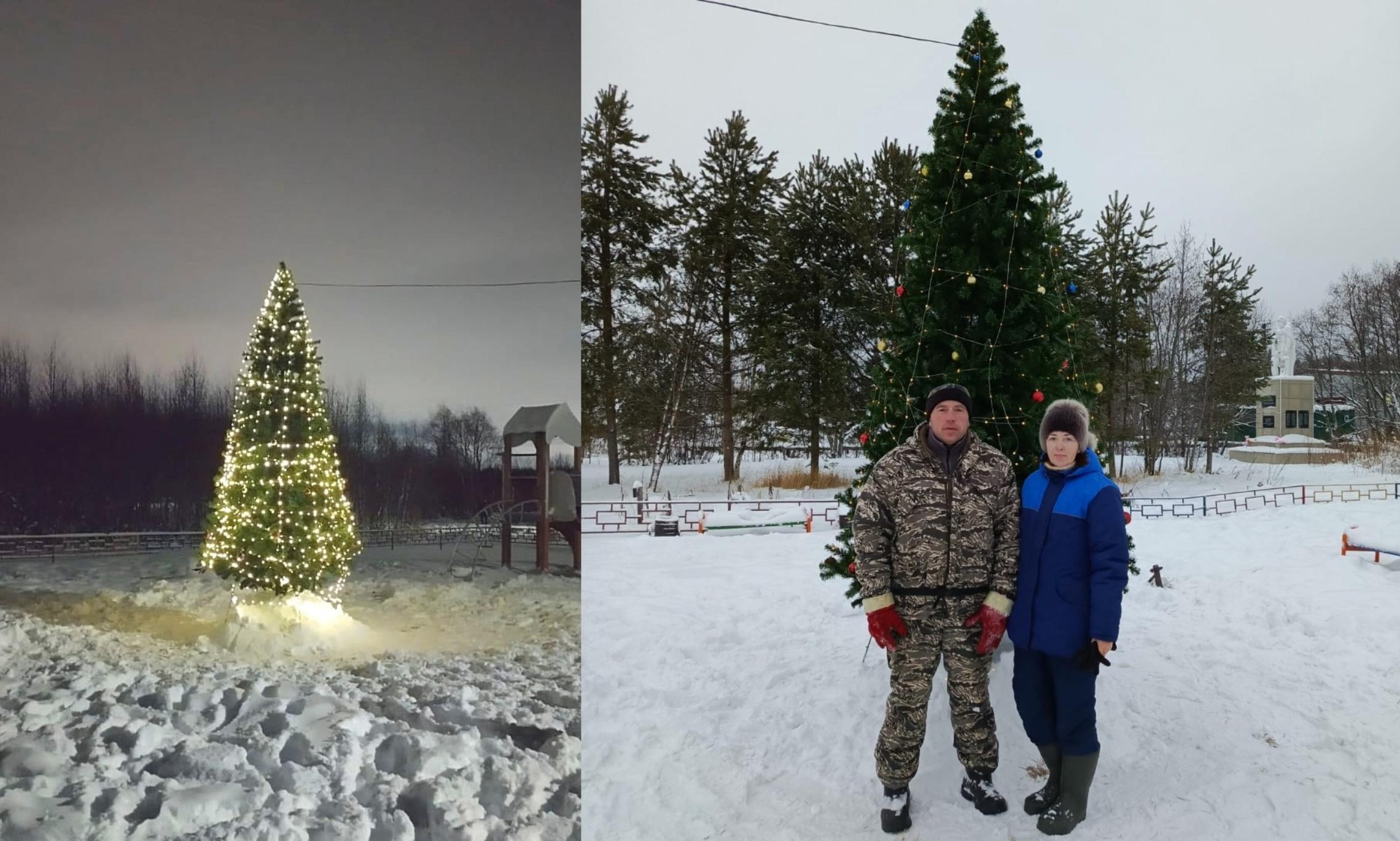 Ёлка на Хабарке. Фото «Открытый Архангельск»  