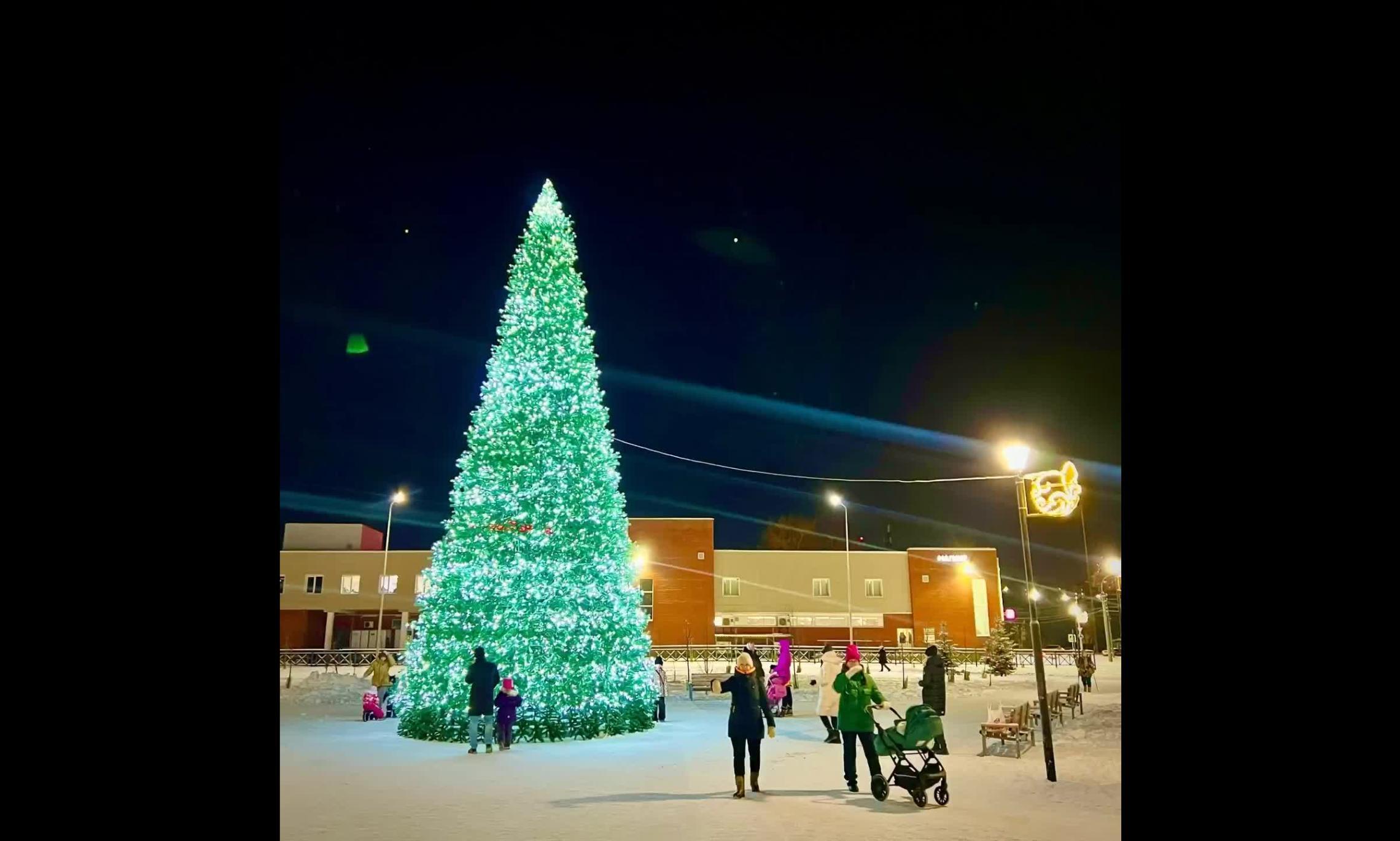 Ёлка в парке «Зарусье». Фото «Открытый Архангельск»