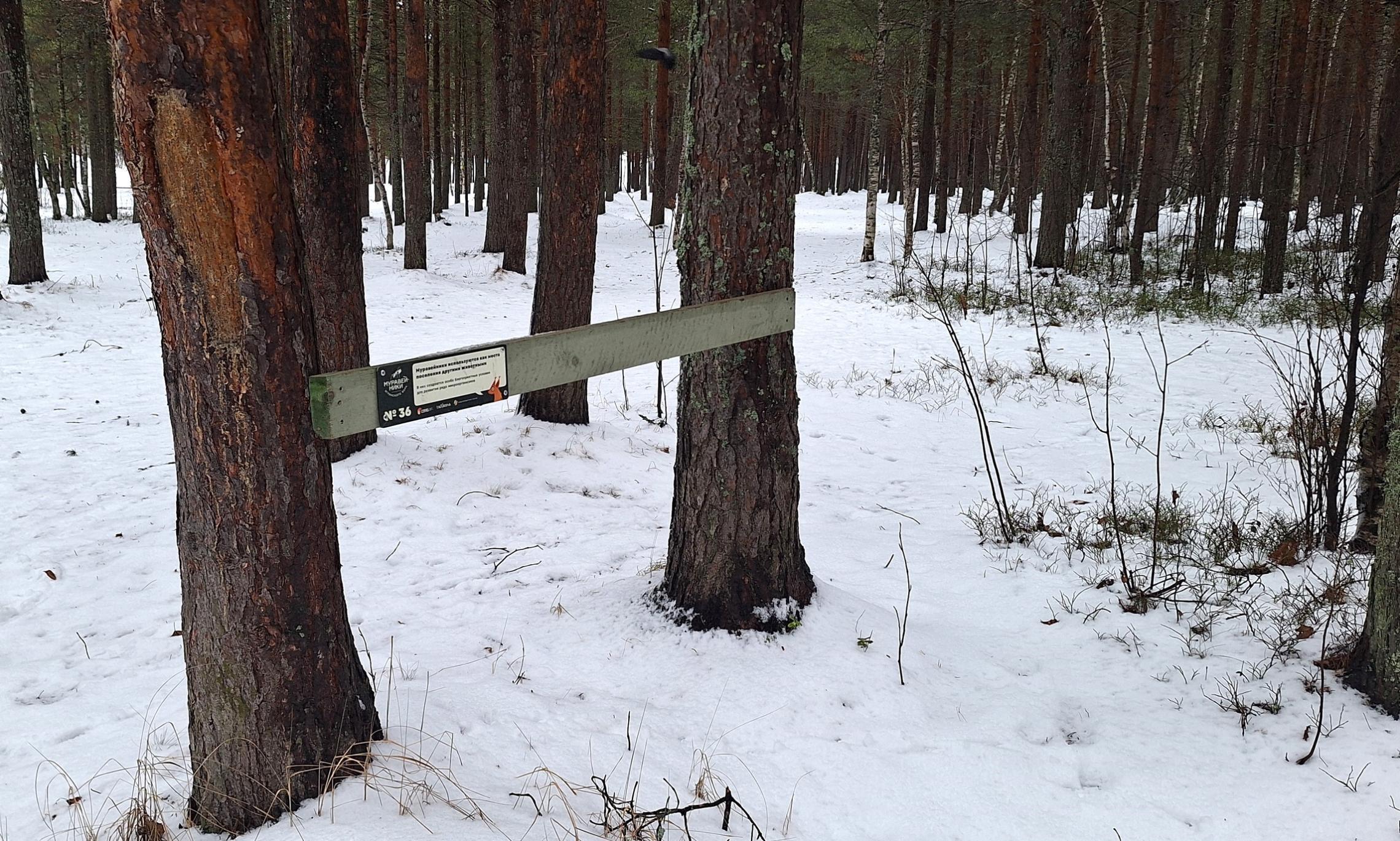 Фото «ОЗЯБ»