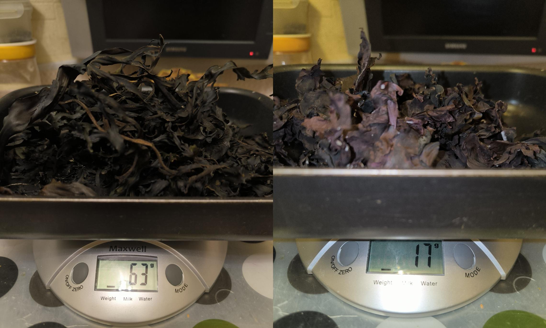 Фото Ольги Подосёновой